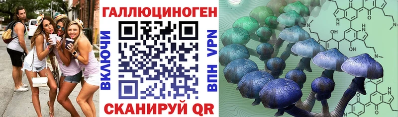 Галлюциногенные грибы Cubensis  Купить закладки  Заречный 