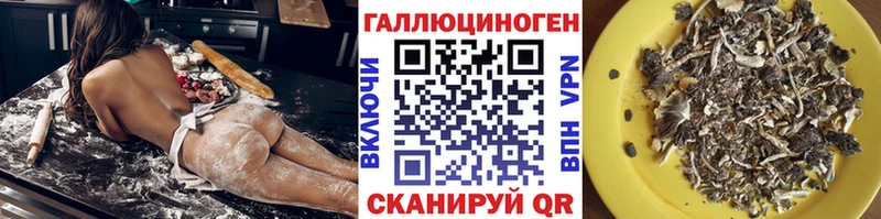 Псилоцибиновые грибы Cubensis Заречный