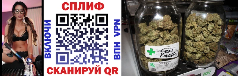 Купить  Заречный  Марихуана сатива 